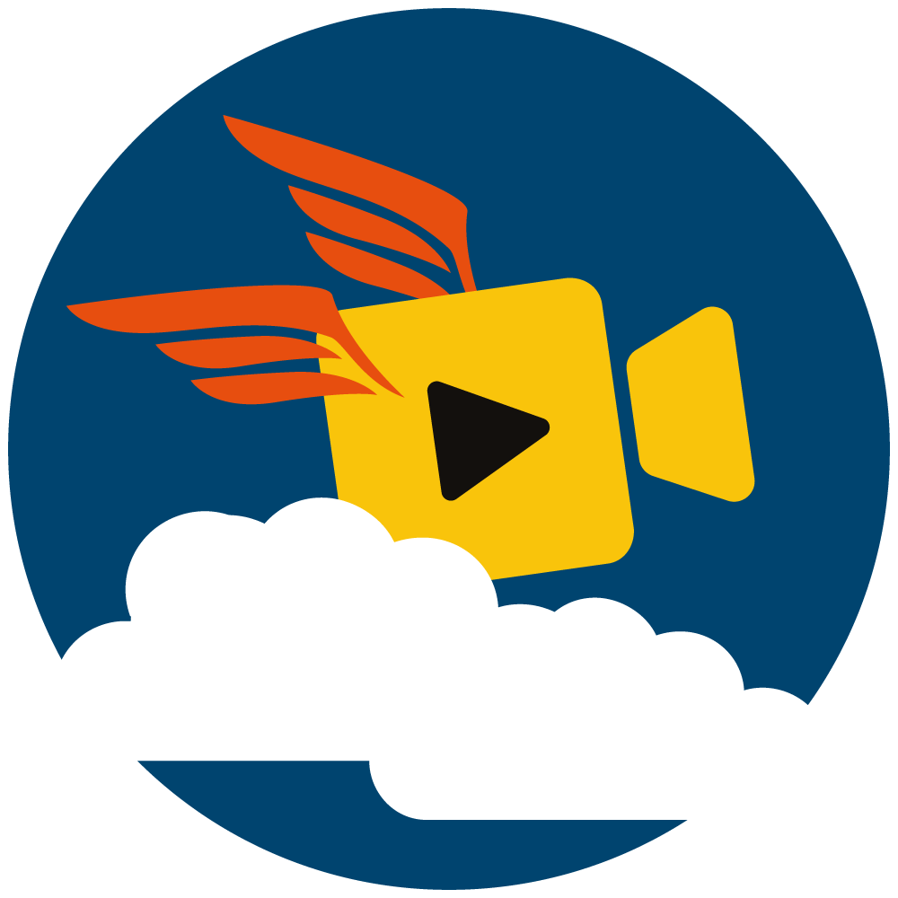 Option vidéo embarquée